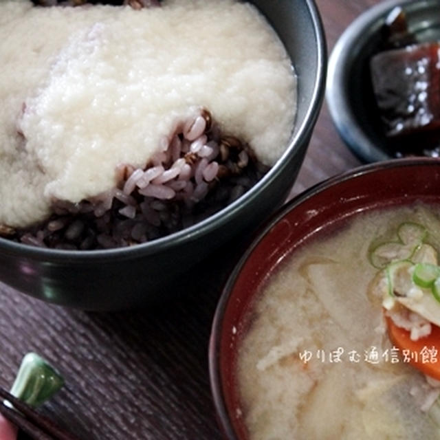 プチプチ食感が楽しい！発芽大麦入りの麦飯で麦とろご飯の朝食。