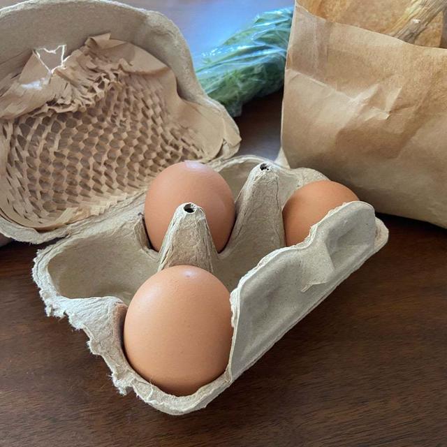 山県市＊寺町畑さんの平飼い卵や野菜♡美味しい和菓子とドラマ
