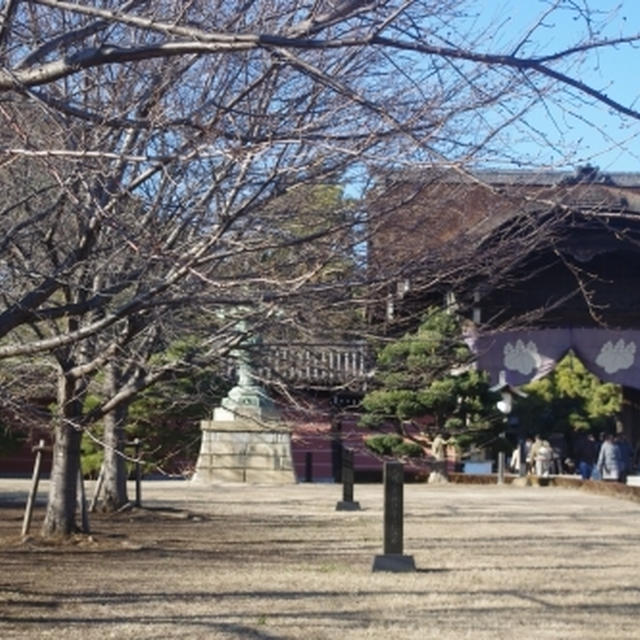 お正月の写真☆