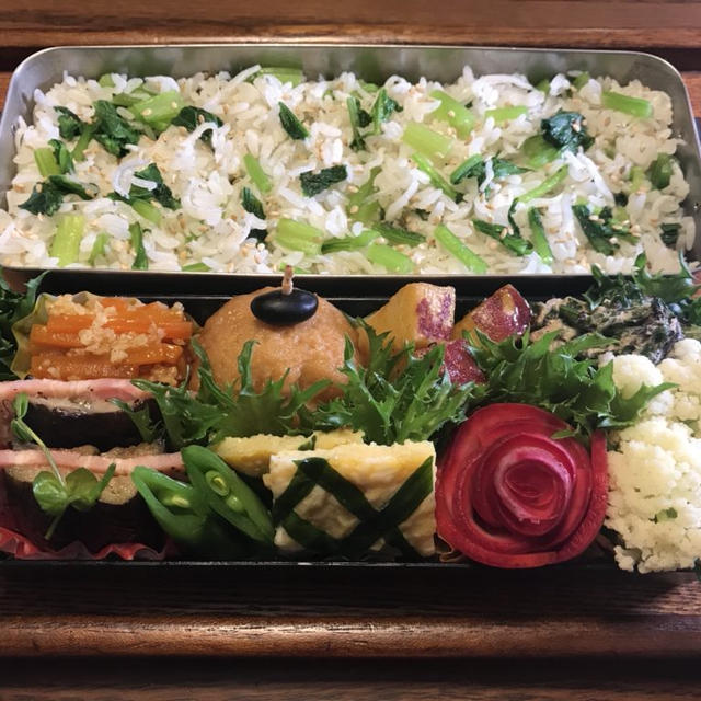 お弁当（しらすとかぶの葉の菜飯）