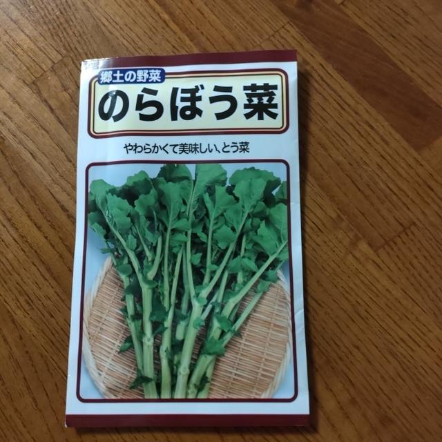 のらぼう菜