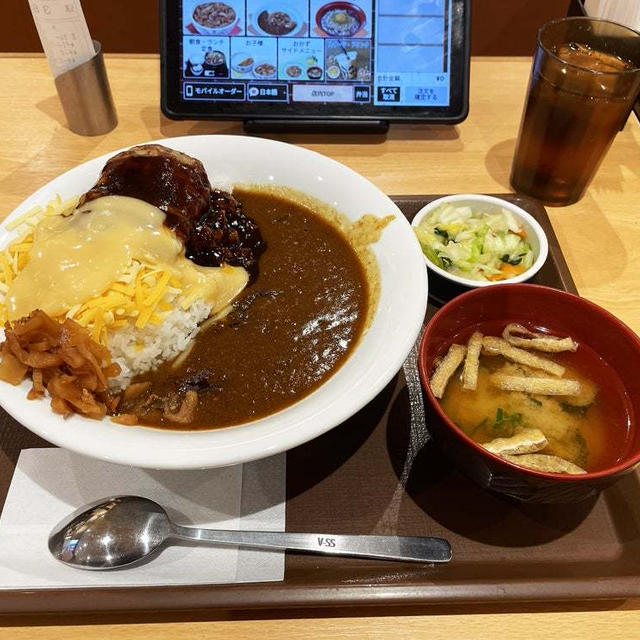 チーズデミバーグカレーのおしんこセットを食べてみた 〜すき家〜