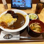 チーズデミバーグカレーのおしんこセットを食べてみた 〜すき家〜