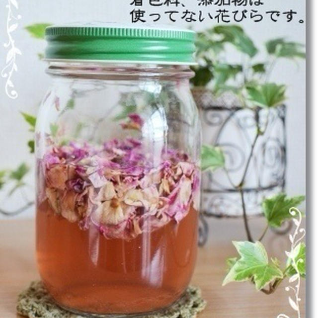 【動画】３度目の薔薇酵母