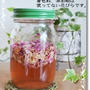 【動画】３度目の薔薇酵母