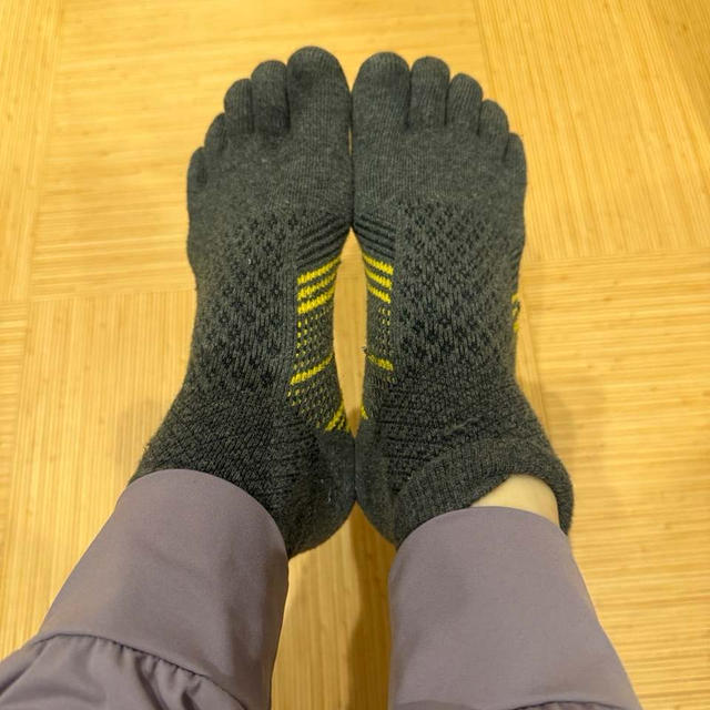 【楽天SS】楽天スーパーセールで追加で買ったもの　山善の除湿機が2000円オフポイントUPで購入