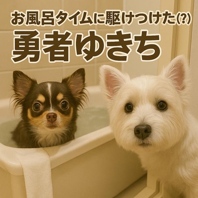 お風呂タイムに駆けつけた（？）勇者ゆきち