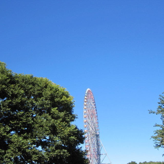 秋空の下で。BBQ