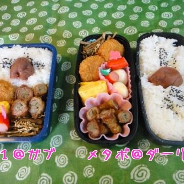 ７月５日　肉巻き牛蒡！　～　メタボダーリン　＆　男子高校生弁当