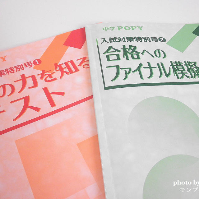 高校受験はポピーだけ レシピブログ