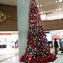 横浜そごうのクリスマスツリーと夏目友人帳大原画展