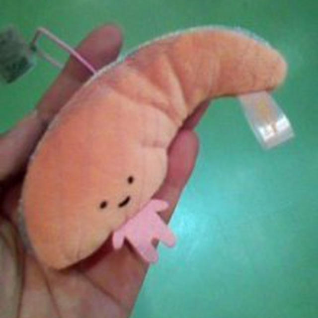 ＫＩＲＩＭＩちゃんゲット～サンリオピューロランド