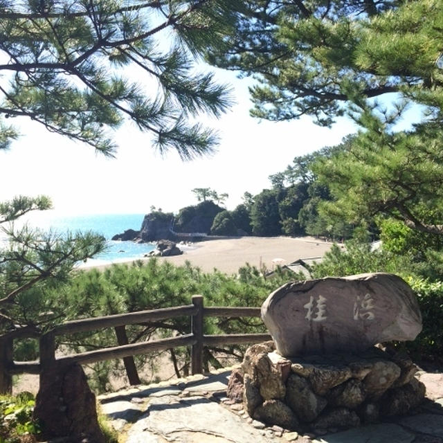 ようこそ高知へ /　ル・クルーゼで作るキノコのハヤシライス