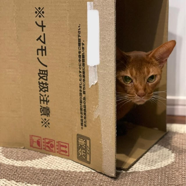 むなしい独り言？