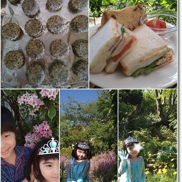 【紅茶のスコーン】作ったけど撮り忘れた(笑)　花畑の４歳児姫エルサと恐竜顔の姫！