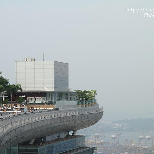 天空のプール