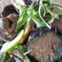 茄子とエリンギと鶏　白だしで揚げびたし