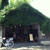 金升酒造（新発田市）の蔵カフェ