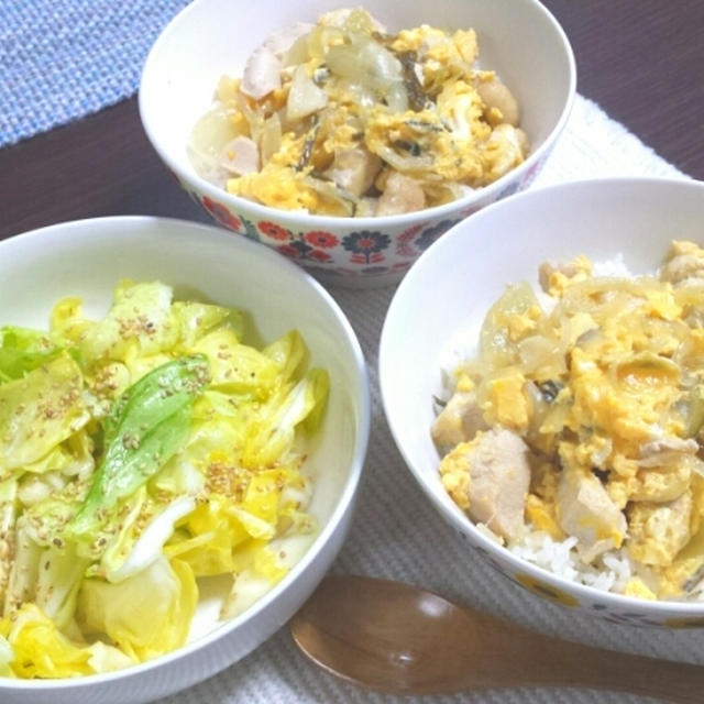 めんつゆでやさしい親子丼