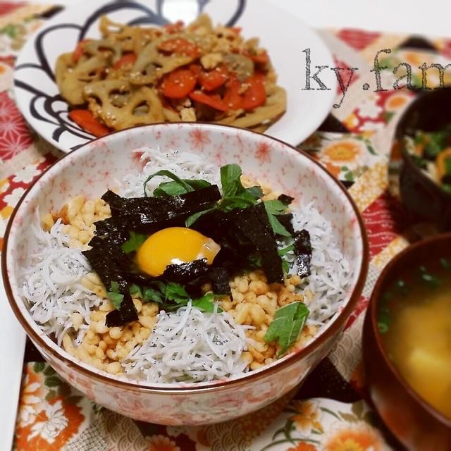 丼献立《しらす丼》