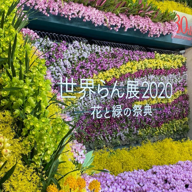 世界らん展2020〜花と緑の祭典〜