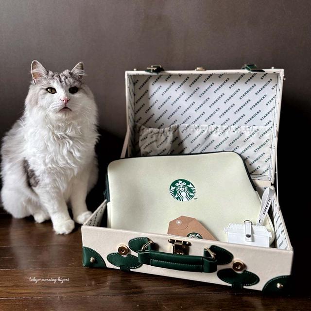 Starbucks マイカスタマイズジャーニー2024 3点セット - バッグ