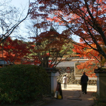 今年の紅葉は奈良＆養老　その１