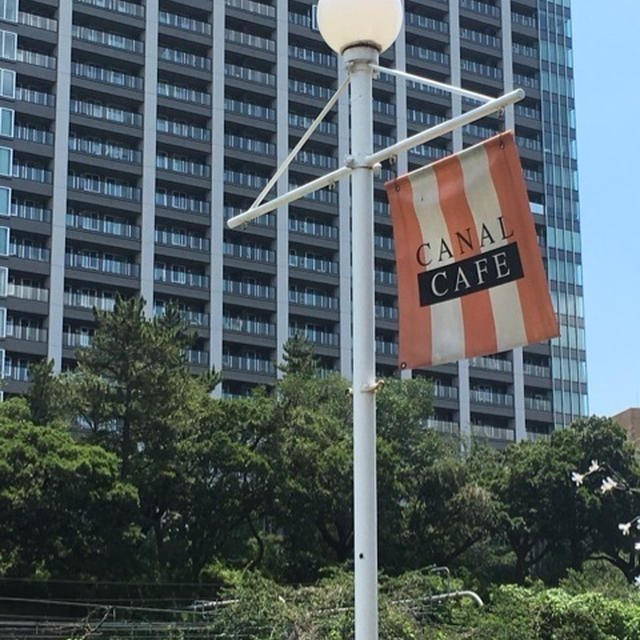 久しぶりランチと金魚。