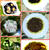 キーマカレー