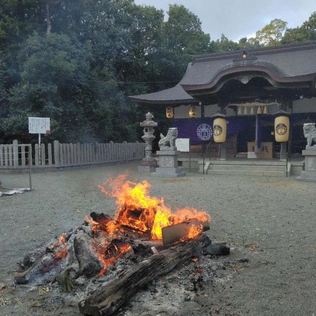 どんと焼き#最近撮った写真は