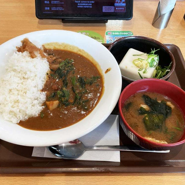 ほうれん草カレー並盛冷やっこセットを食す 〜すき家〜