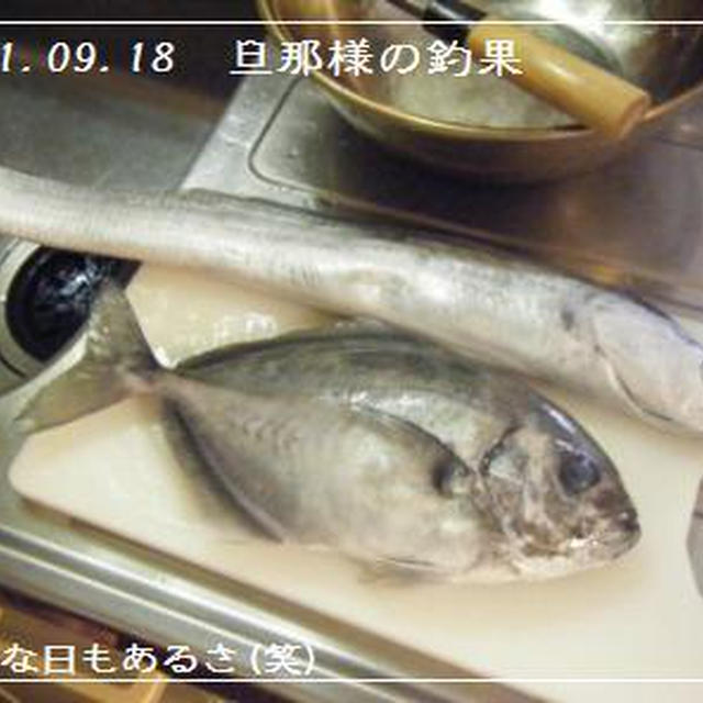 旦那様の釣果【11.09.18】と記念日御飯