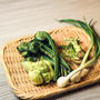 春夏秋冬で楽しめる山菜の種類と栄養、天ぷらにすると美味しい山菜の一覧
