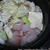 高級あんこう