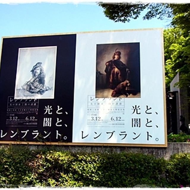 ■西洋美術館のレンブラント展■そしてパンダを呑む(´・ω・`)ｺﾞｸﾝ