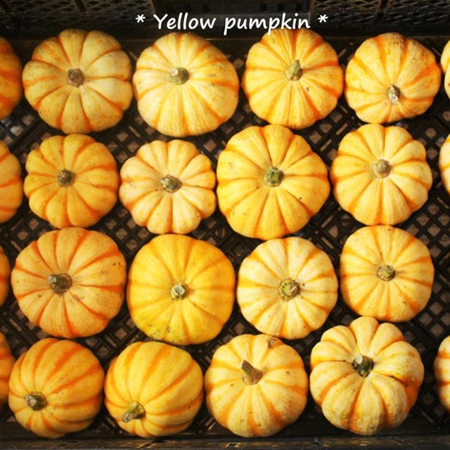 大人のハロウィン