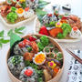 旦那に持たせた「ひじきおにぎり弁当」