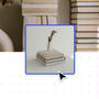 How to Start a Book Blog (Without Getting Lost in the Plot) 