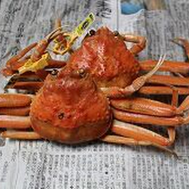 冬の味覚蟹の解禁！蟹のある食卓と、手作り七味