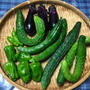 夏野菜で作り置きオカズ