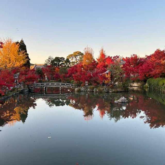 秋は紅葉の永観堂