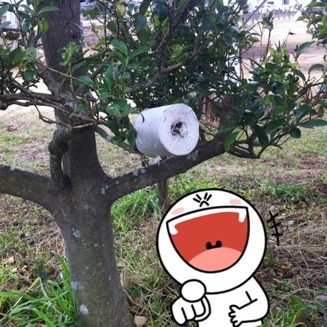 こんなところにψ(｀∇´)ψ