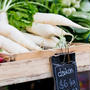 Daikon (大根) All you need to know about the radish