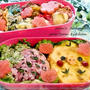 キイロトリと苺の遠足お弁当