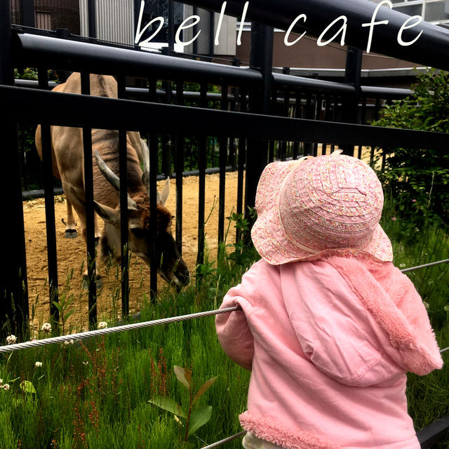 ママを独り占めした円山動物園