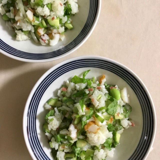 ライスサラダのごはんは野菜！
