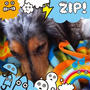 ZIP カメラ