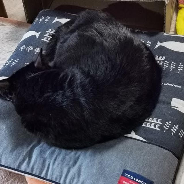 黒いお供え物