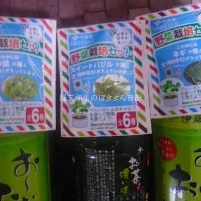 伊藤園のペットボトルに野菜の種が！＆　スーパーバリューの伊藤園レシートキャンペーン