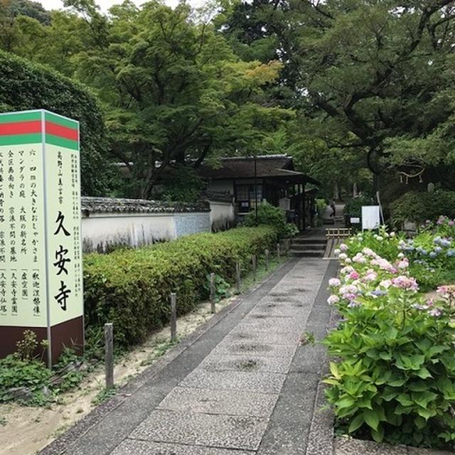 久安寺の紫陽花～大阪池田市